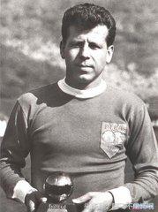 世界足球先生欧洲金球奖,历届世界足球先生和金球奖排名