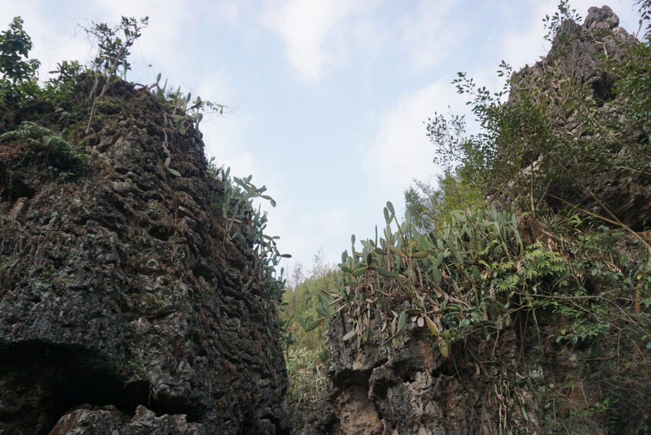 多彩贵州行——黄果树风景区之灵魂玲珑秀美“天星桥”