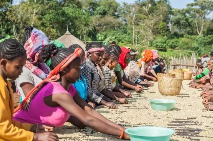 随身携带的小咖啡,随身携带的咖啡小型