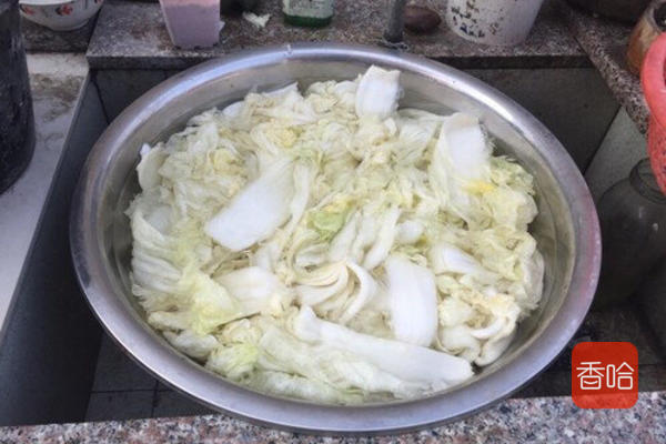 自制韩国泡菜家常做法,韩国泡菜腌葱的制作方法