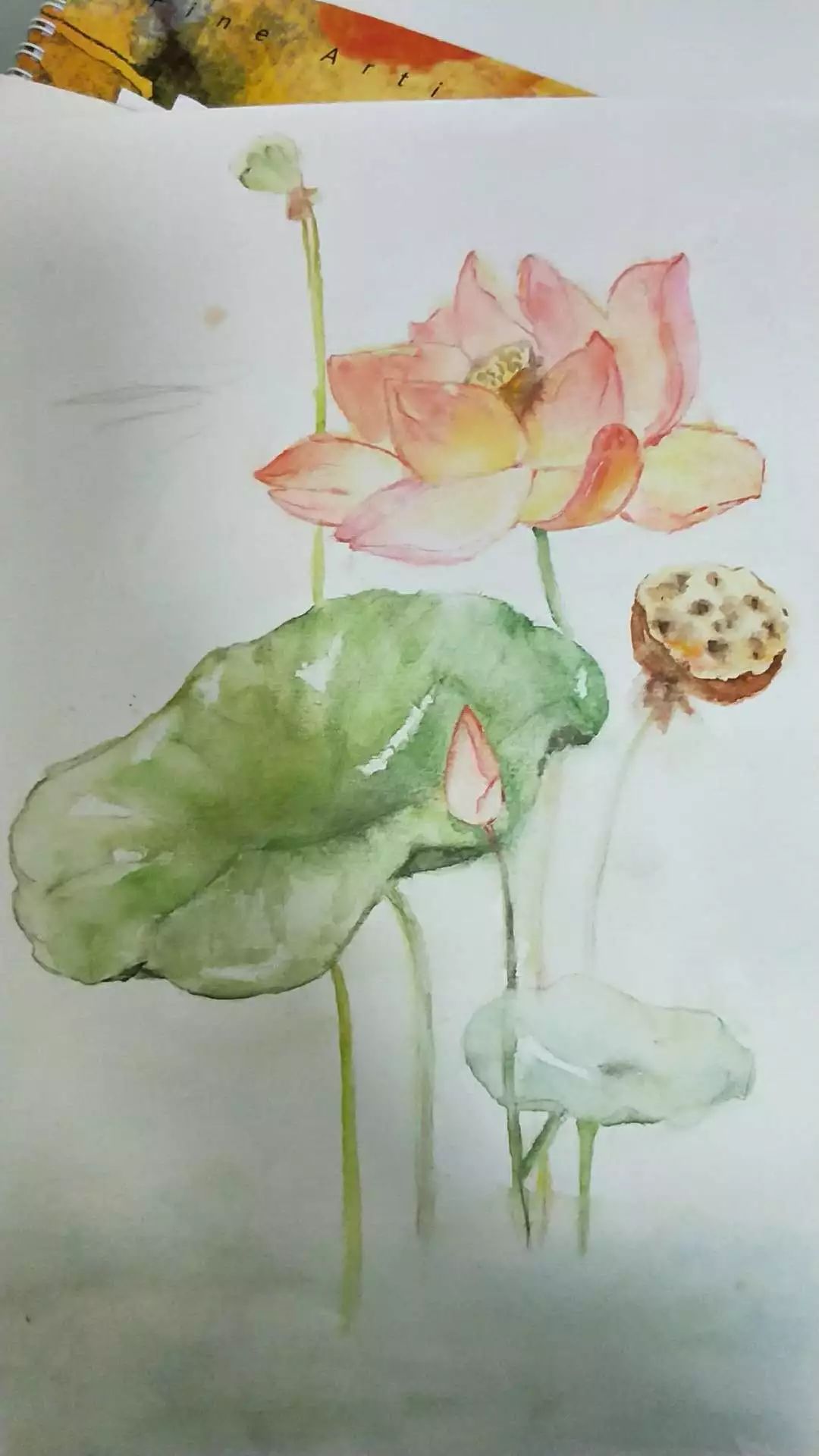 绘画是表达内心想法最纯粹的语言,绘画真的能滋养人的心灵