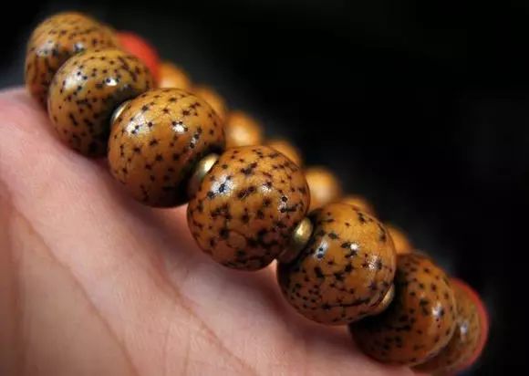 星月菩提能玩的几大要素,玩星月菩提需要注意什么