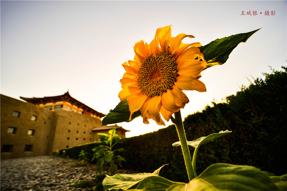 敦煌山庄设计风格,敦煌山庄属于什么档次