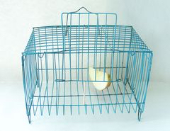 松鼠抓到了怎样处理,松鼠缉毒什么原理