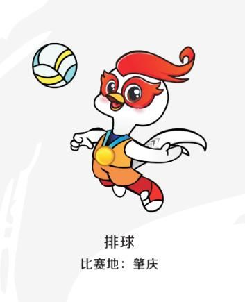 省运会青少年组击剑比赛收官,省运会击剑成绩