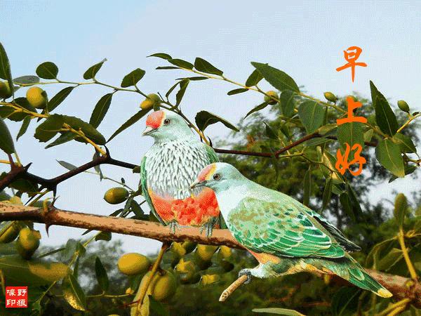 早上好清晨送你一首吉祥的歌,早上好喜鹊报喜的叫声