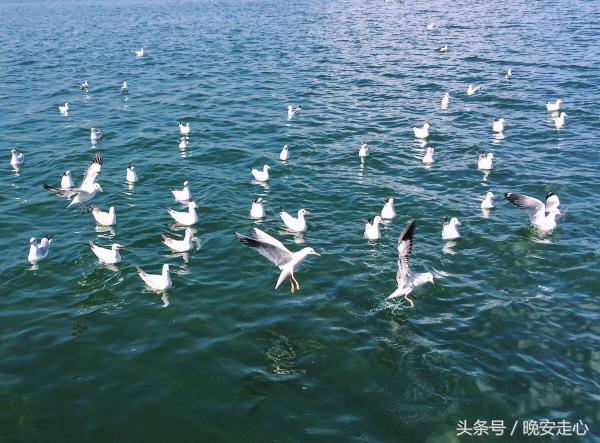 员工晨会分享正能量5分钟,晨会员工分享正能量一段话及感悟