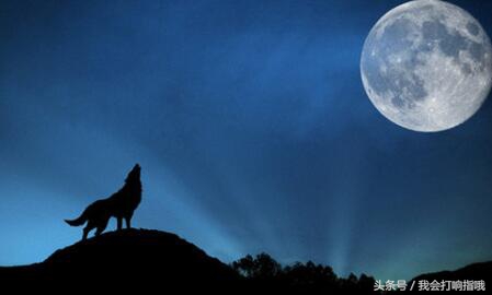 周公解梦：要是梦见了这4件事，恭喜你了，大都是不错的兆头