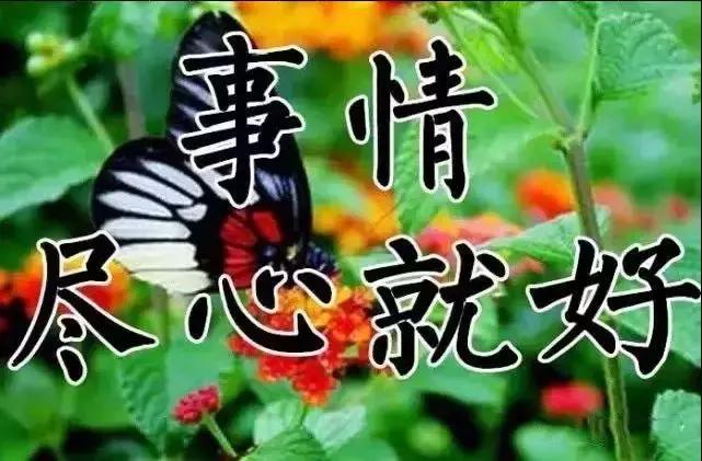 祝你天天快乐早上好图片,祝大家早上好天天有个好心情