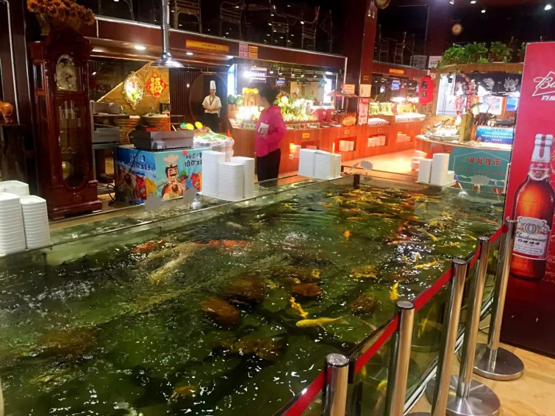 各种海鲜不限量,50种不限量海鲜