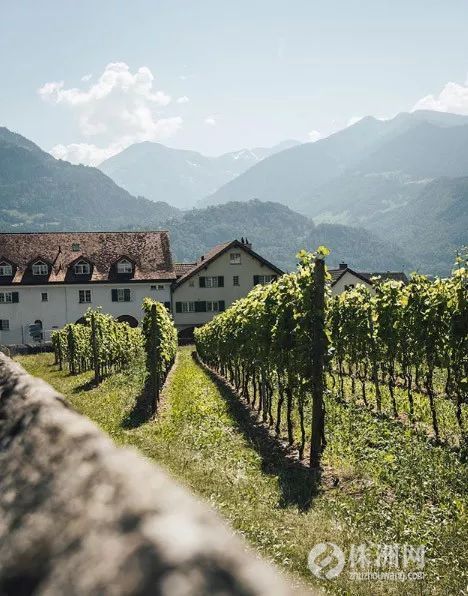 游客因为拍照而被罚款？这个国家景色到底有多美，才敢这么傲娇……