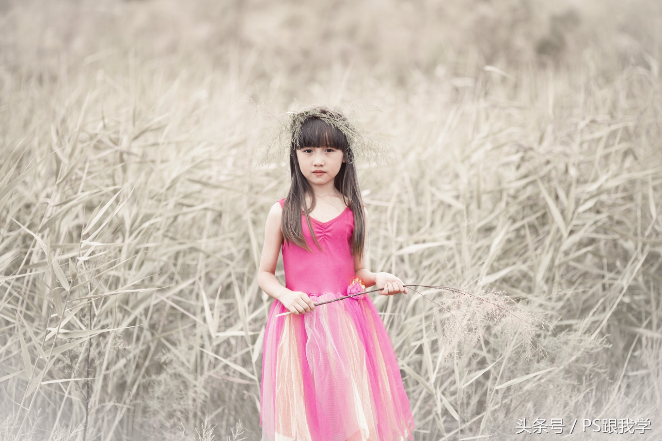 camera照片调色教程,如何用PS2018调整照片色彩