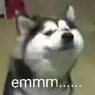 世界杯结束了看联赛,世界杯结束看什么