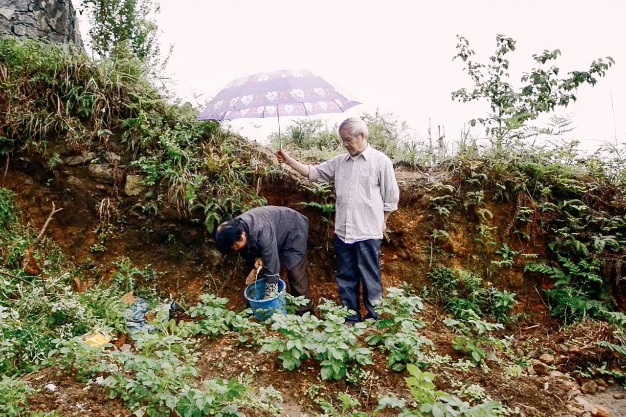 北漂25年买不起房,北漂20年买不起房