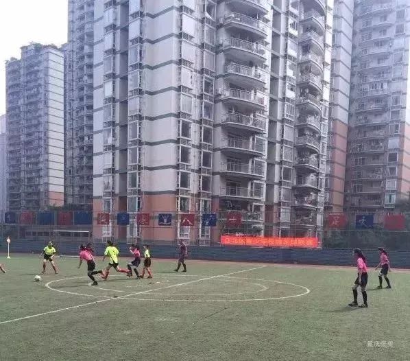 重庆南岸区2021小学划片一览表,重庆谢家湾小学划片2021