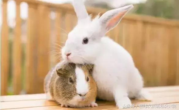 亲子牧场的标杆，看看这家年入2亿的母亲牧场是怎么做到的