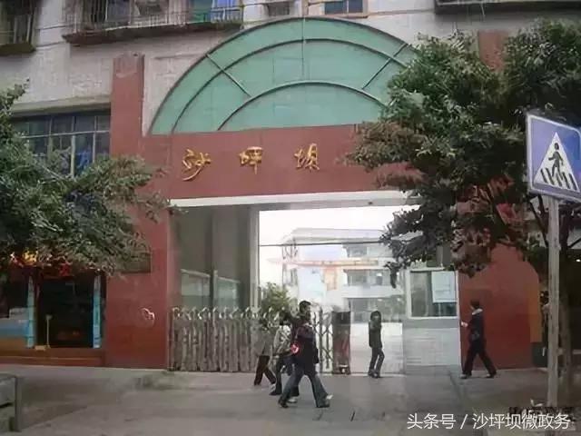 重庆双湖小学对口中学是哪个,重庆大学城第一实验中学对口划片