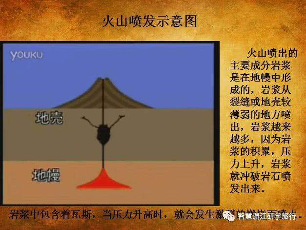 科学的馈赠pdf,科学的馈赠