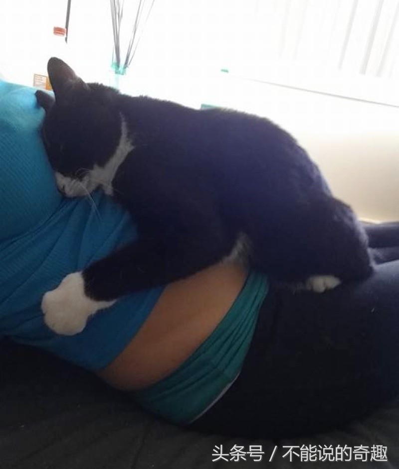 可能你不会知道你家里的这些“家人”是如此的深爱着自己