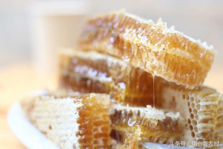 教你一招辨别蜂蜜方法,分辨蜂蜜的最佳方法到底哪种靠谱