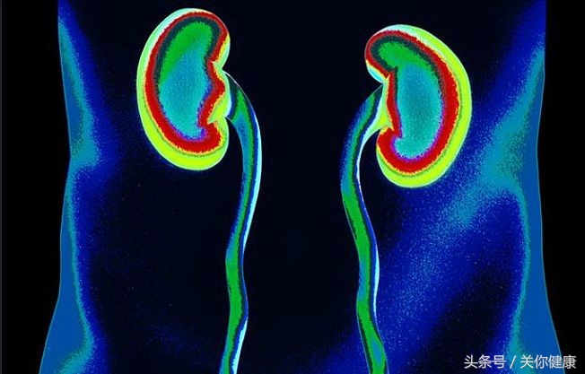 发现水肿怎么解决,肾脏病变引起的夜尿增多怎么治