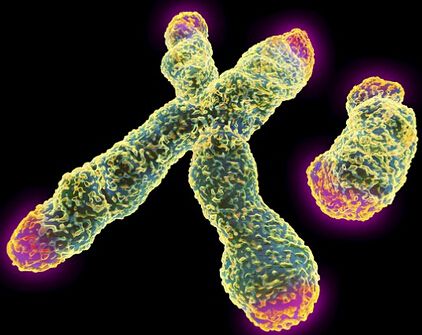 世界上极度怪异的巨大动物,世界上最奇特又怪异的动物