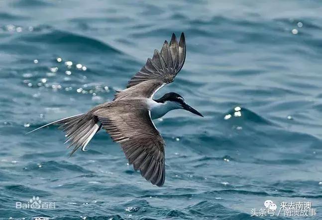 这座小岛究竟隐藏了多少秘密,一座鲜为人知的隐藏小岛