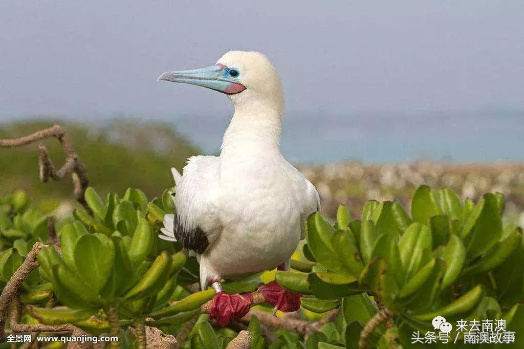 这座小岛究竟隐藏了多少秘密,一座鲜为人知的隐藏小岛