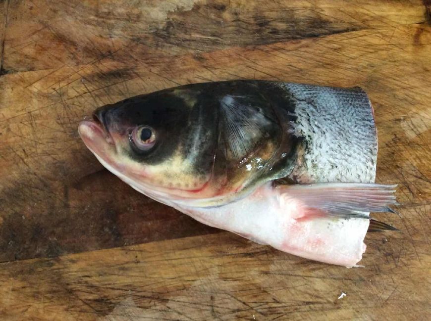 鱼头汤豆腐汤怎么才会白,为什么饭店鱼汤红色的