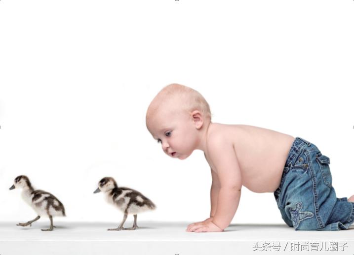 训练你的观察力,一个人的观察力弱