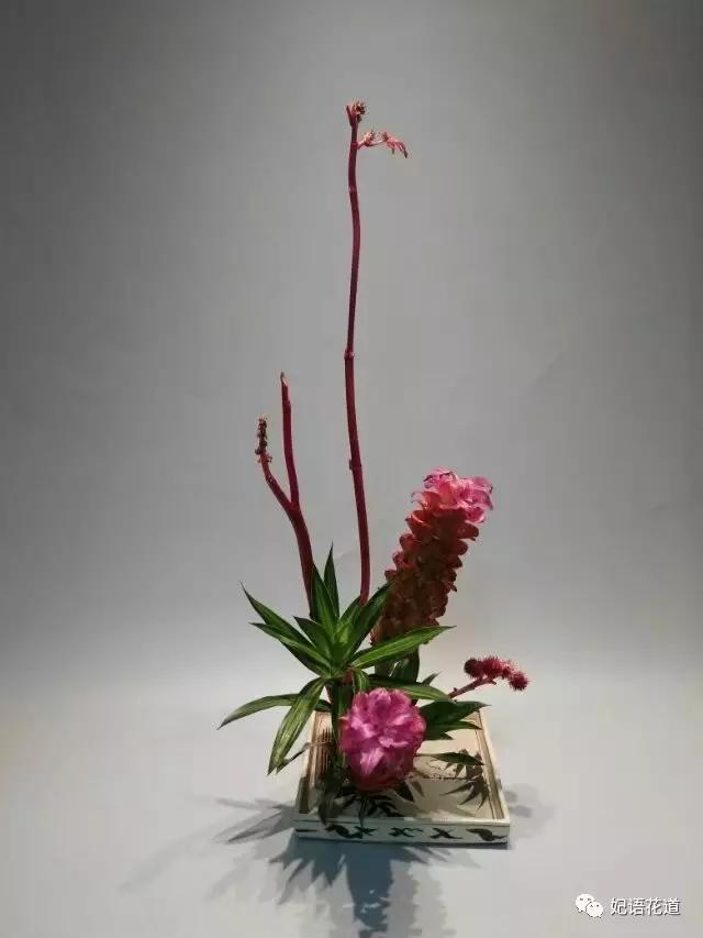 日式小原流花道入门 (日本小原流花道)