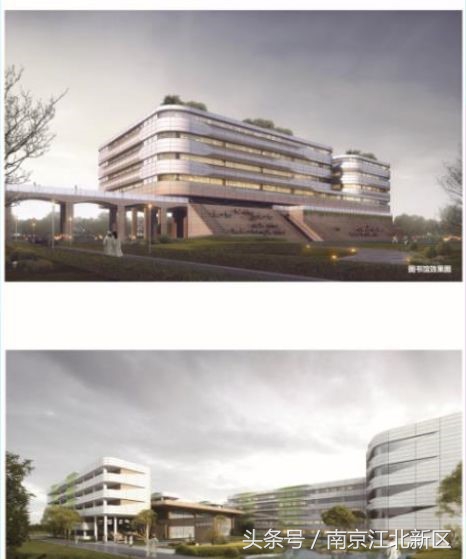 江北新区管理委员会罗群,江北新区生命健康产业发展办公室