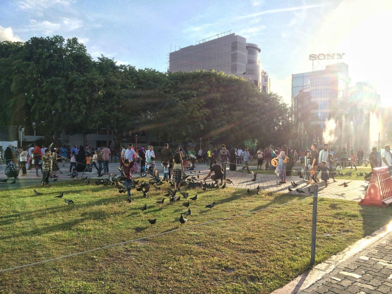 马尔代夫玛娜法鲁几星,马尔代夫玛娜法鲁自助游