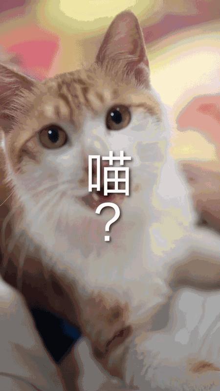 鹿晗红还是杨幂红,鹿晗凭什么成为顶流