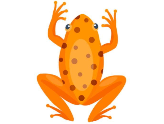 鍔ㄧ墿鍗佸ぇ璋ｈ█鐪熺浉,鍏充簬鍔ㄧ墿鍗佸ぇ璋ｈ█