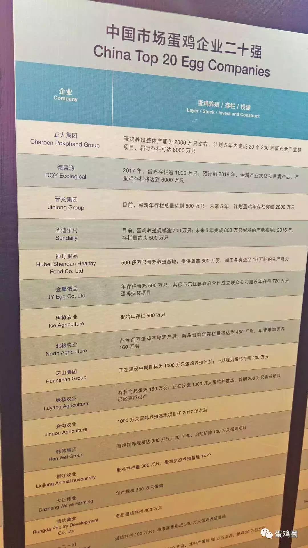 中国超大蛋鸡场名单,中国最大的蛋鸡市场在哪里