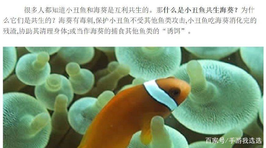 第五人格调香师cp图,第五人格摄影师调香师cp