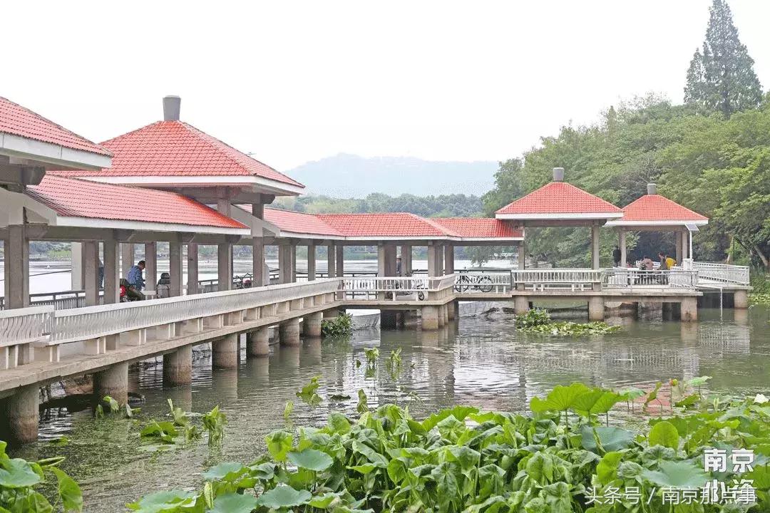 秦淮区月牙湖的房价,南京月牙湖房价44万房源