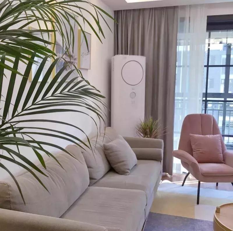 房间空气净化盆栽,空调房养盆栽技巧