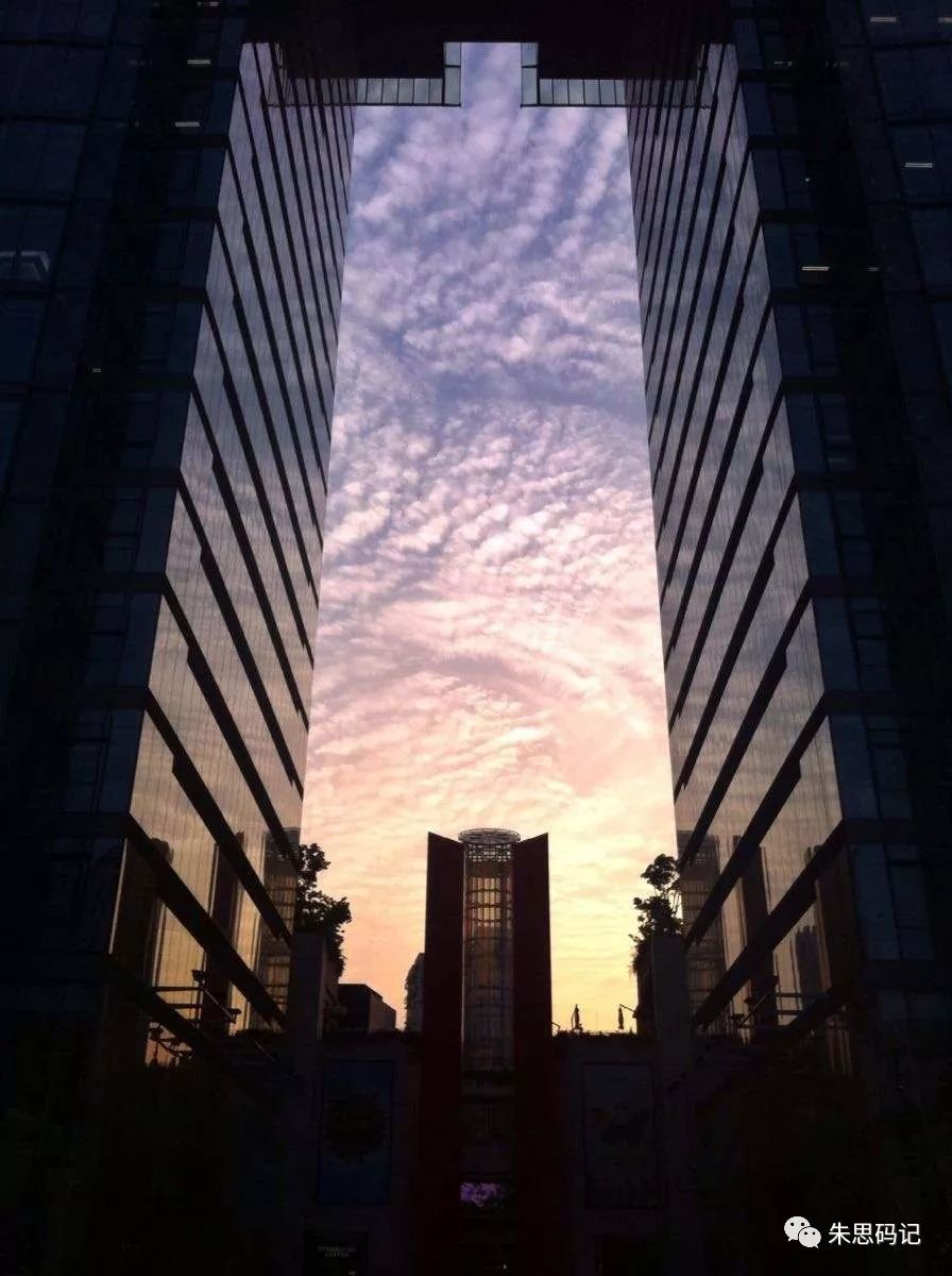 拼多多调查事件,拼多多调查取证店面经营信息