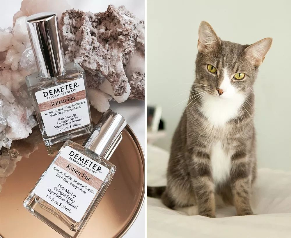 20岁女孩子香水推荐200-300,20岁女生必入手的大牌香水