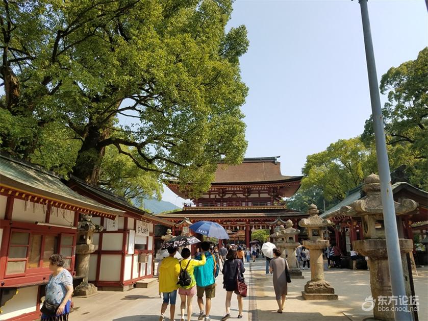 坐豪华游轮,坐豪华游轮是什么体验