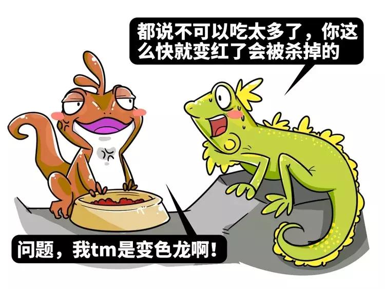 处女座变态的表现,揭秘处女座十大癖好