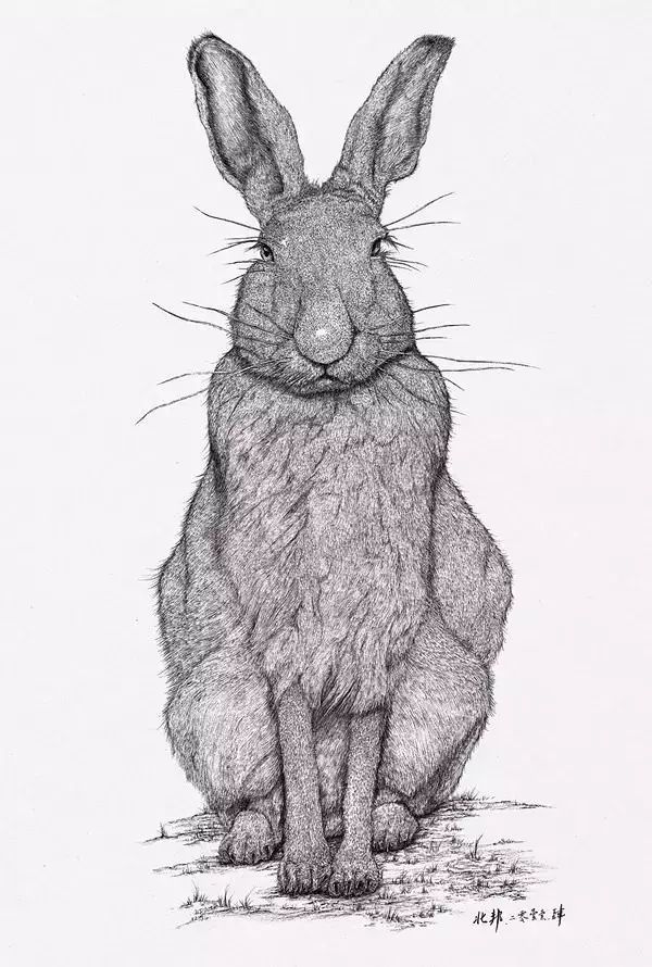 学习美术专业有什么前途吗,学美术画画未来的就业前景