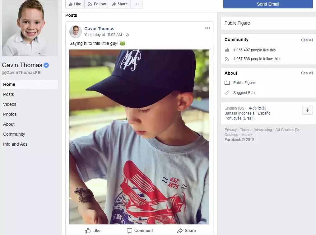 假笑爆红男孩,假笑男孩直播视频