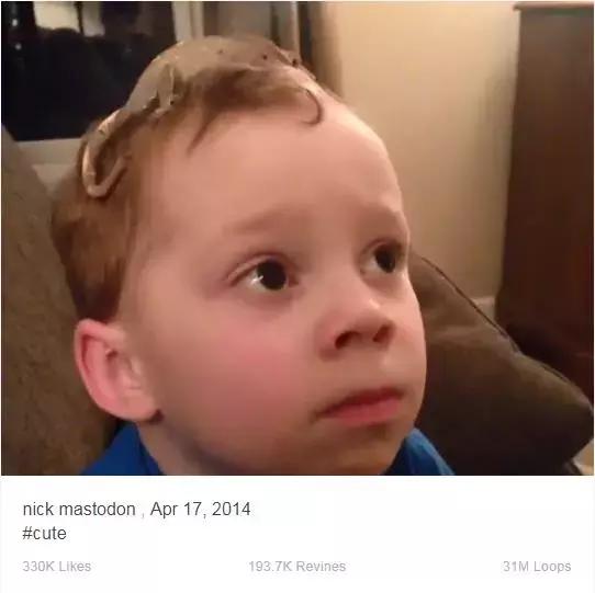 假笑爆红男孩,假笑男孩直播视频