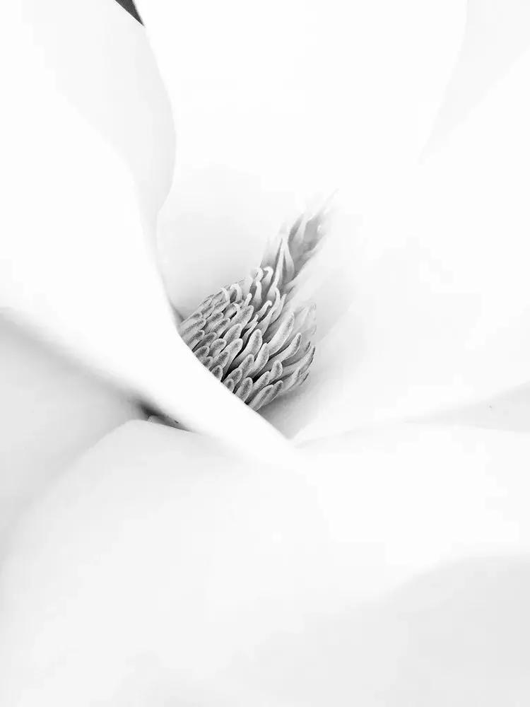 世界十大最高品质手机摄影大赛,2022年ippa摄影大赛