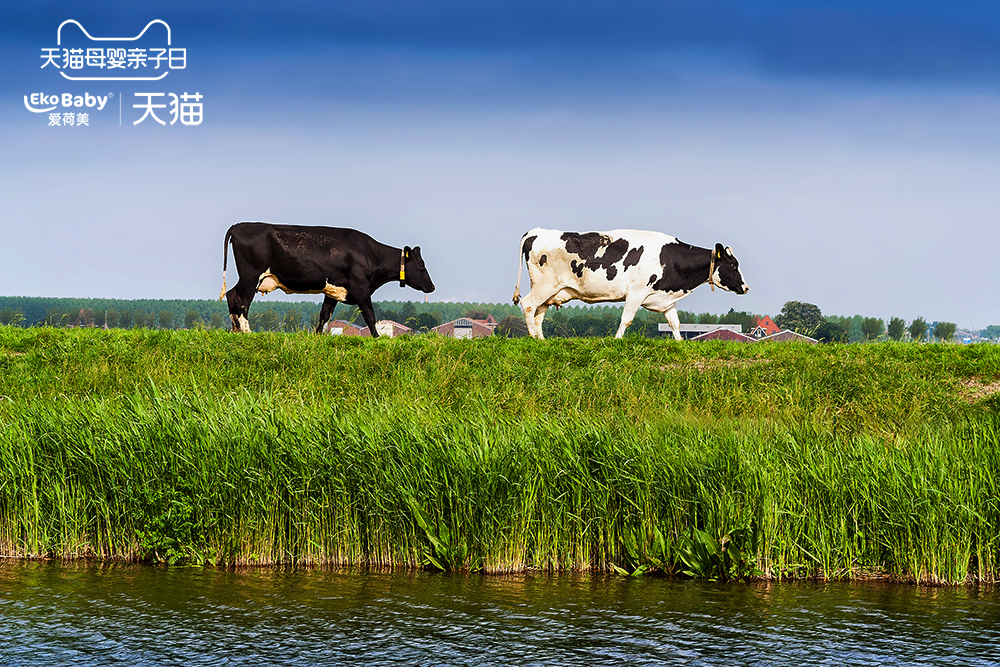 遇见爱荷美育见有机