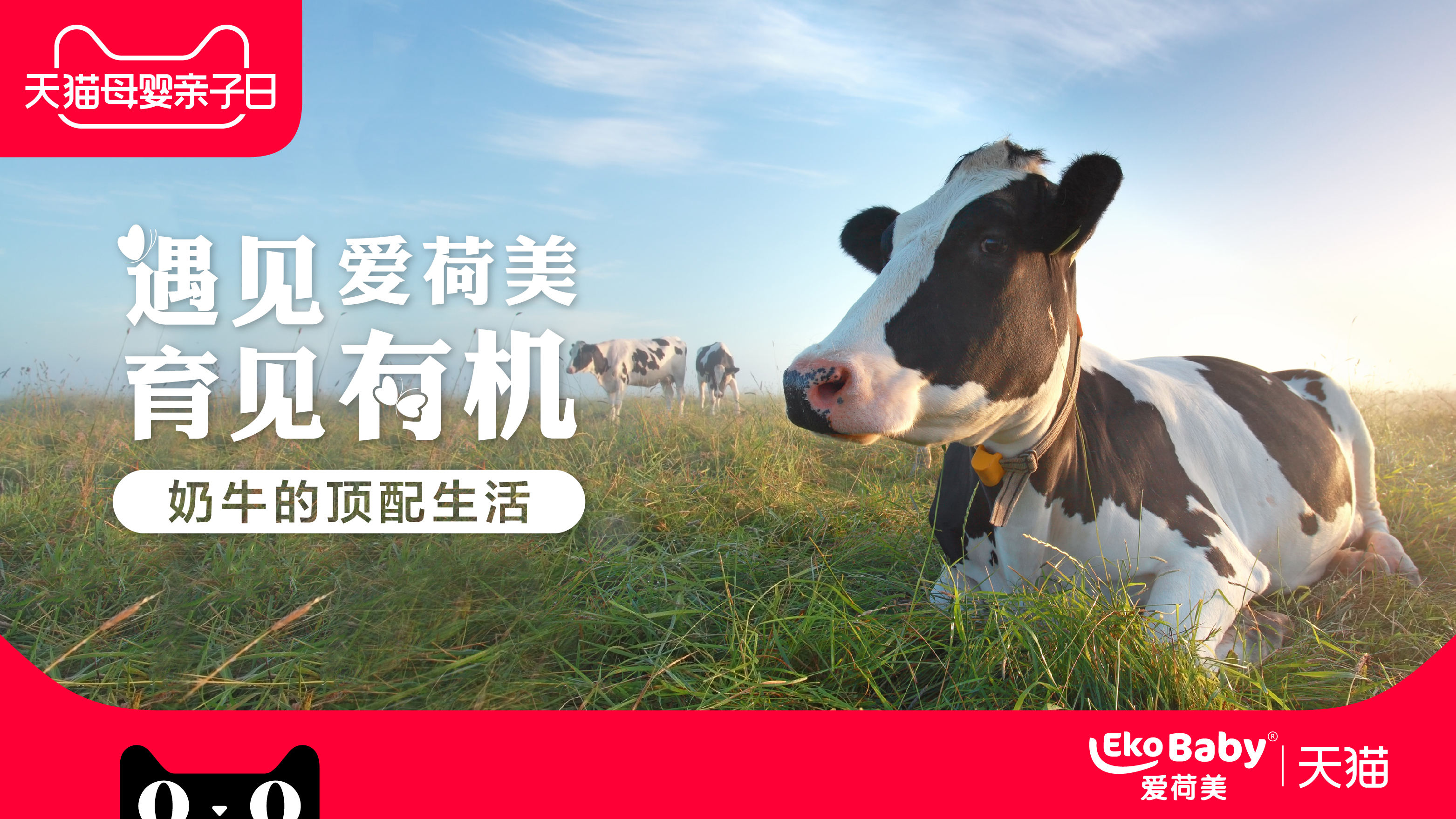 遇见爱荷美育见有机