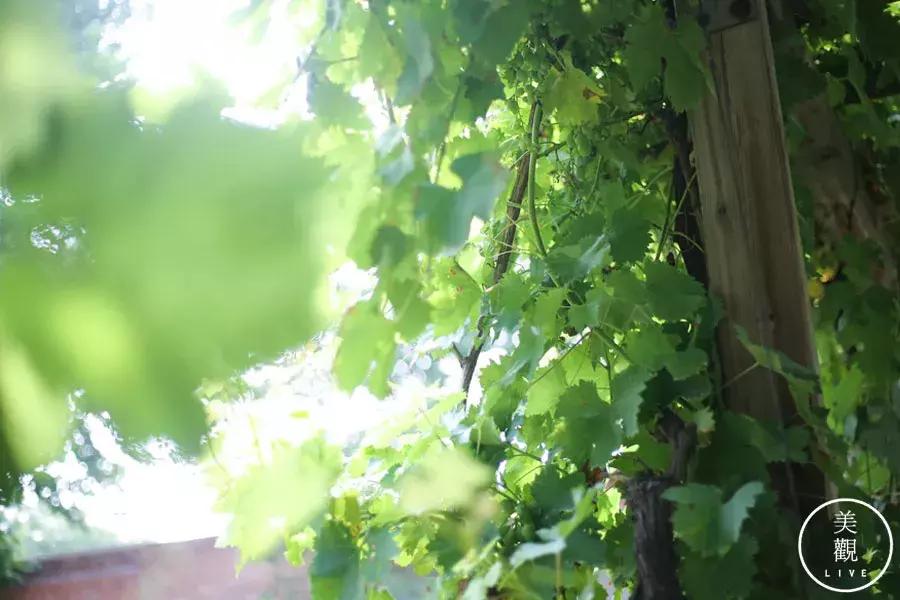 西安最时尚的地方不在小寨不在SKP,而在蓝田·普罗旺斯